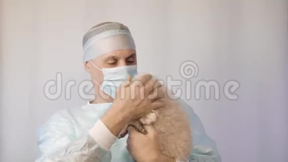 兽医检查一只狮子狗他要给他接种疫苗视频的预览图