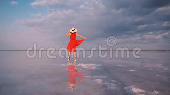 一个年轻女子穿着飘舞的裙子的肖像女孩旅行者走在粉红色的盐湖视频的预览图