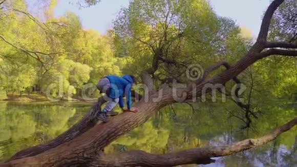男孩在公园池塘附近爬树视频的预览图