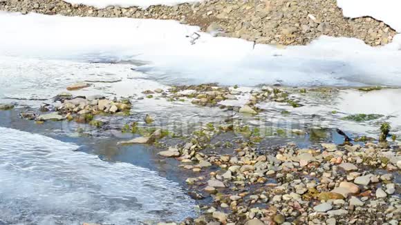 初春的浅水河里有冰雪视频的预览图