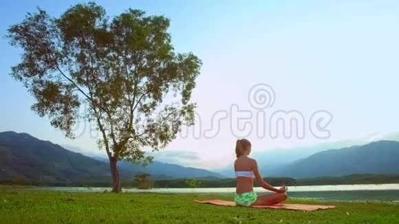 女人放松的姿势莲花靠树靠山靠背视频的预览图