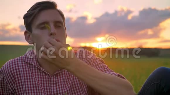 英俊的年轻人坐在麦田里嚼着稻草向前看背景是夕阳美丽的景色视频的预览图