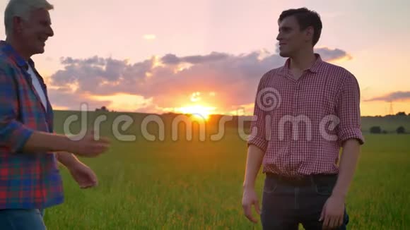 老农与年轻的商人打招呼握手站在麦田里美丽的自然与夕阳在视频的预览图