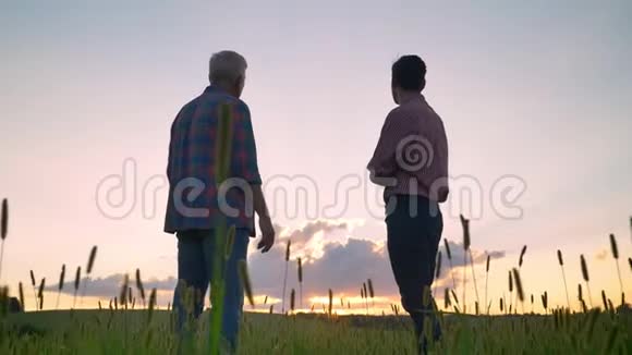 老爸爸和他成年的儿子一起在麦田或麦田里观看美丽的日落视频的预览图