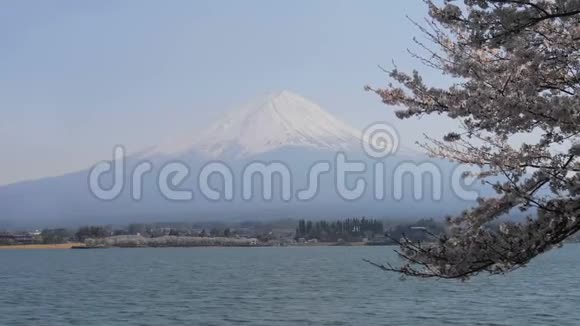 山的开阔视野有樱花树的富士和川口湖视频的预览图