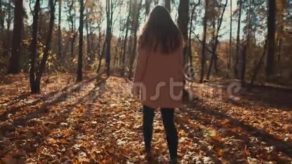 早上秋天森林里可爱的女孩视频的预览图