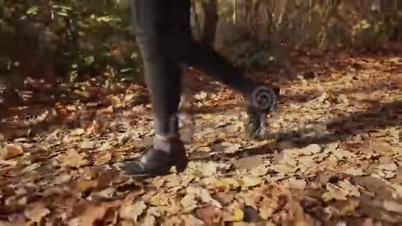 女人在秋天的森林里散步视频的预览图