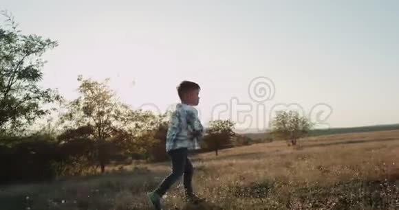 跑三岁的男孩拿着飞机穿过草地在田野的中央令人惊叹的阳光视频的预览图