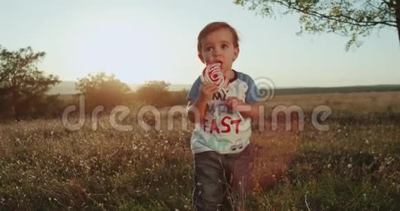 日落时分小男孩吃着棒棒糖落在草地上在大自然中度过有趣的时刻4k视频的预览图