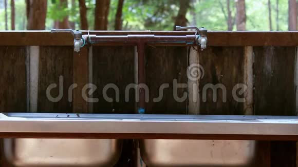 在松林的自然背景上水龙头与水滴进入不锈钢水槽节约用水的概念视频的预览图