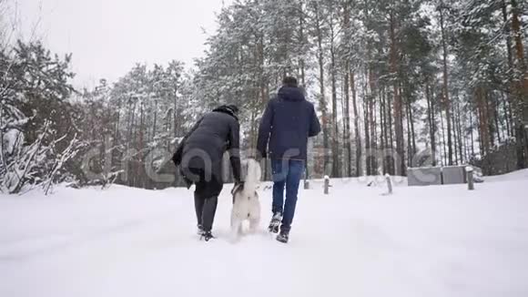 人们在森林里散步一个男人和一只西伯利亚哈士奇狗正在雪地里和一个孩子拉雪橇视频的预览图