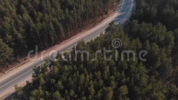 松林中空路镜头飞过一片松林朝着一条空路的方向飞去视频的预览图