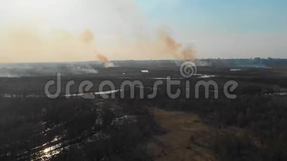 鸟瞰城市附近燃烧的田野在城市附近的春天烧田视频的预览图
