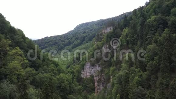 密林在山坡上梅兹梅俄罗斯视频的预览图
