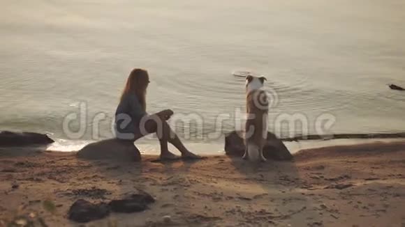 狗喜欢和主人在沙滩上玩耍视频的预览图