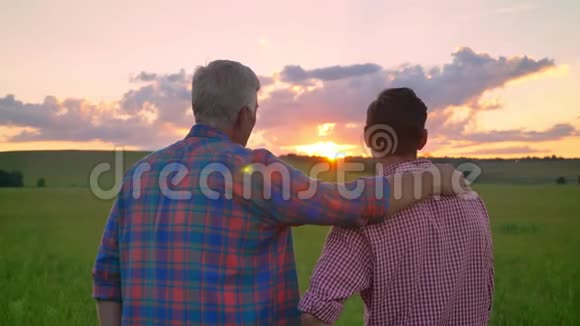 父亲拥抱成年儿子看美丽的日落站在小麦或黑麦田上视频的预览图