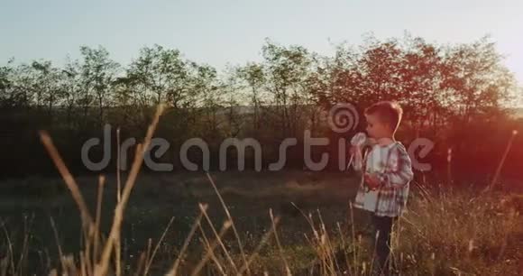小时髦的男孩在田野中间吃着一个大棒棒糖穿过田野视频的预览图