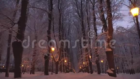 沿着积雪覆盖的公园的小巷移动和行走视频的预览图