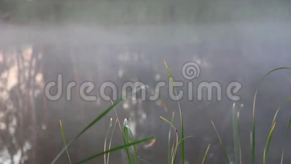 湖面上的雾气视频的预览图