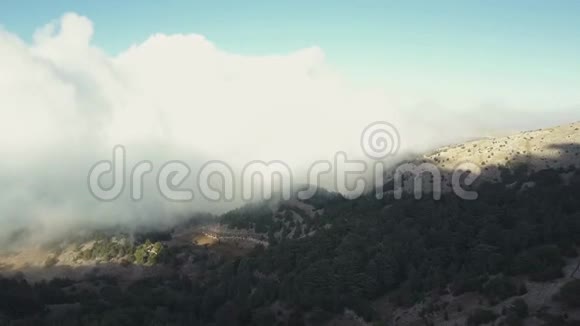 黎巴嫩神林香柏的鸟瞰图视频的预览图