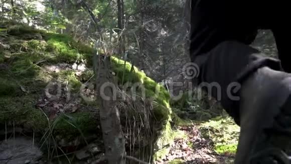 为一个穿过树林和长满苔藓的大石头的人而靠近录像一个穿黑色靴子的男人的后视镜视频的预览图