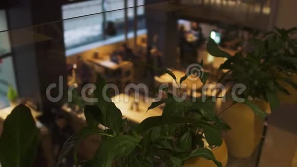 现代餐厅的房间背景模糊二楼咖啡馆里花盆里的植物视频的预览图
