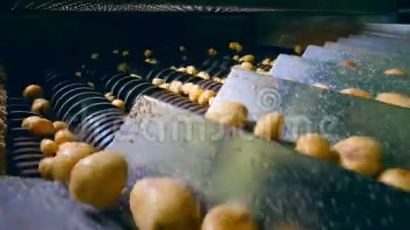 土豆块茎进入切割机制视频的预览图