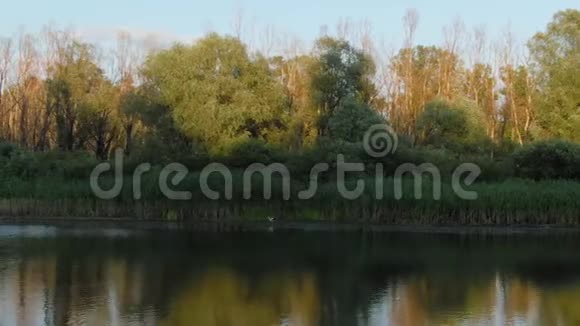 德斯纳河与森林空中观景日落视频的预览图