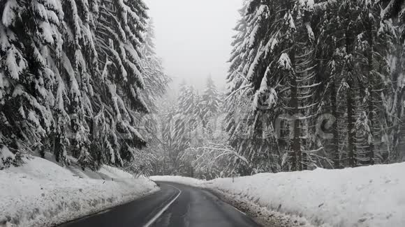 从雪树之间的道路上的汽车上可以看到缓慢的运动视图视频的预览图