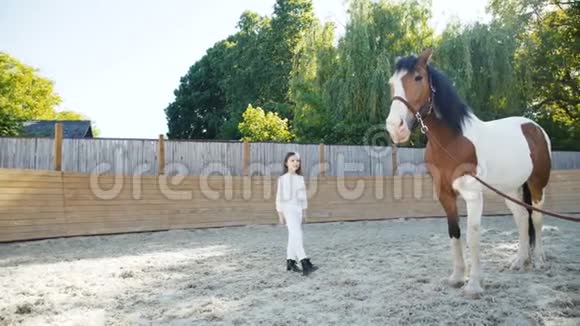 漂亮的小姑娘来到马背上抚摸着马视频的预览图
