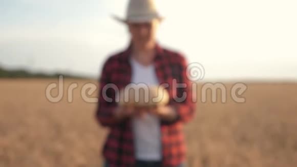 一个女农民站在麦田里手里拿着一条白面包视频的预览图