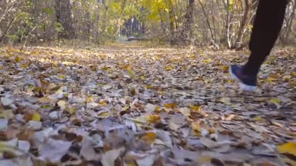 一个面目全非的年轻人跑在秋天的森林小径上他在彩色落叶上慢跑运动员在伍德训练视频的预览图