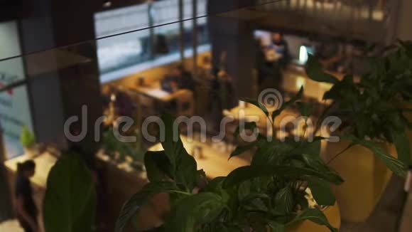 在前台的二楼咖啡馆里种植花盆里的植物与现代餐厅的人在一起视频的预览图