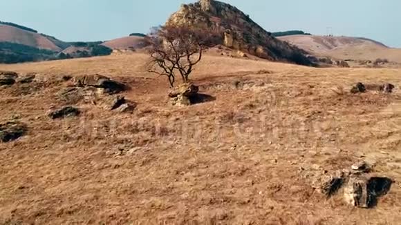 航班鸟的视野无人驾驶森林实地岩石视频的预览图