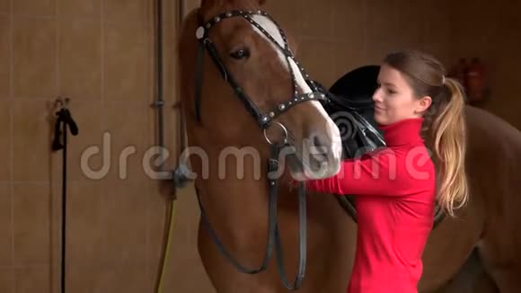 年轻女子在马厩调整马缰绳视频的预览图