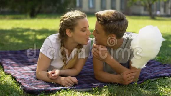 年轻人在公园里吃棉花糖和接吻躺在格子呢上恋爱视频的预览图