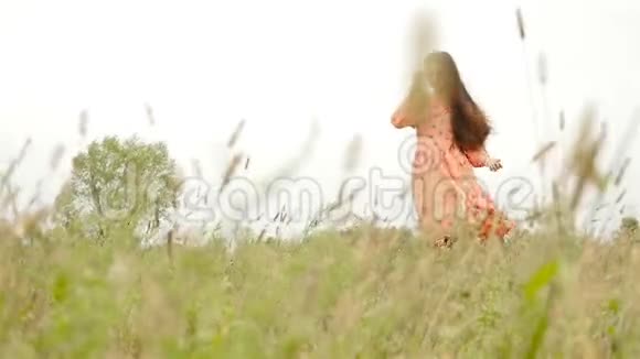 一个穿裙子的漂亮女孩站在高高的草地上慢动作视频的预览图