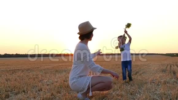 日落时一个孩子在田野里给妈妈一朵向日葵视频的预览图