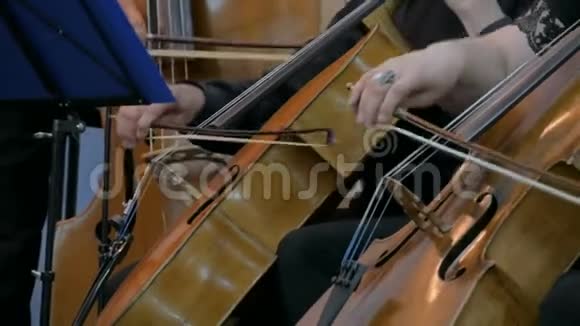 女人和男人玩大提琴视频的预览图