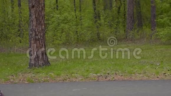 绿色春天城市公园里一个无忧无虑的少年女孩骑着摩托车上路视频的预览图