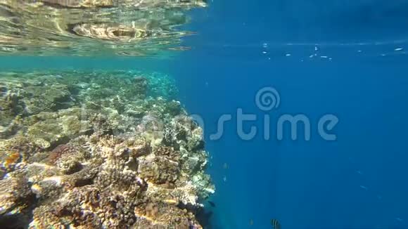 海岸附近美丽的珊瑚礁被阳光缓慢照射视频的预览图