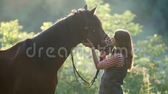 清晨树林里年轻女子抚摸着马的鼻子美丽的光线视频的预览图