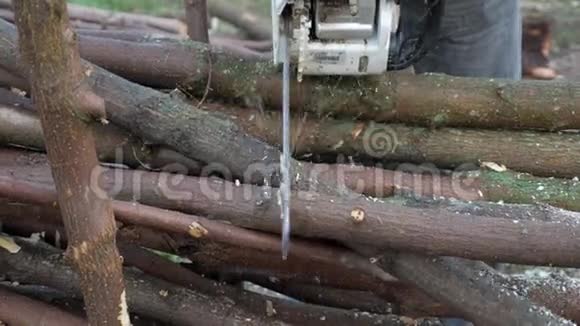 雄性伐木工人在森林里用电锯锯树视频的预览图