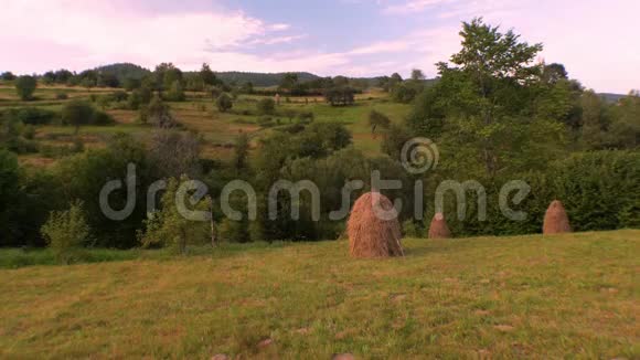 海科克的背景乡村景色夏在村里森林附近的草甸海菲尔德的背景夏季日出视频的预览图