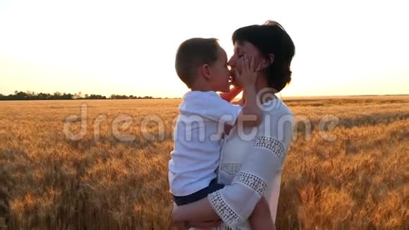 一个快乐的母亲抱着一个孩子在日落背景下的麦田里孩子摸了摸他妈妈视频的预览图