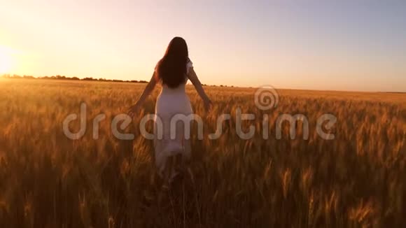 快乐的女孩穿着白色连衣裙长发在日落时穿过一片金黄麦粒的田野慢动作视频的预览图