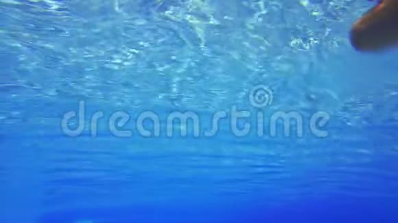 穿红色泳衣的女孩在游泳池里的水里游泳视频的预览图