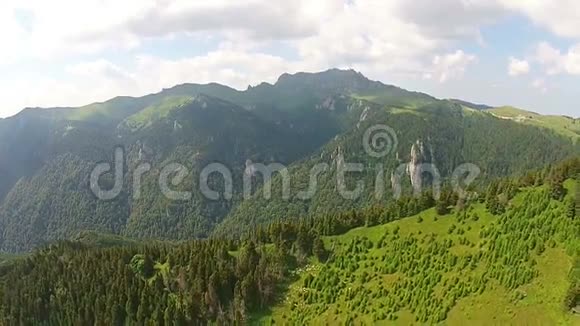 罗马尼亚Ciucas山脉的羊群视频的预览图