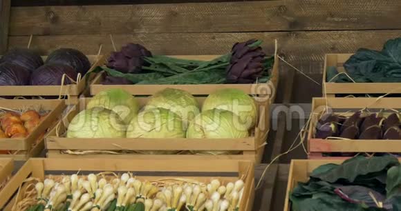 蔬菜盒视频的预览图