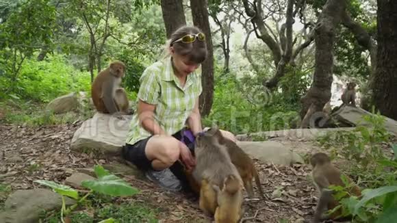 这个女孩喂野生猴子视频的预览图